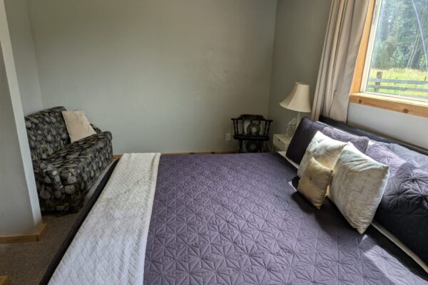 King bed and pull out sofa
